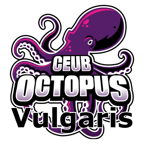 CEUB Octopus Vulgaris CEUB Octopus Vulgaris