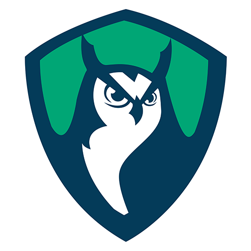 UnB Green Owls Noctua UnB Green Owls Noctua